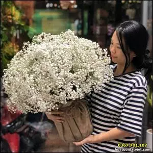 Dịch vụ hoa tươi tỉnh Quảng Nam DVB152